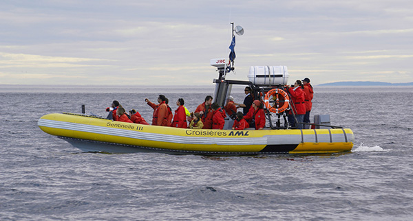 Croisières AML Alliance Éco-Baleine